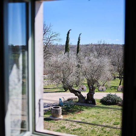 Winery Cuj Bed & Breakfast Vilanija Εξωτερικό φωτογραφία
