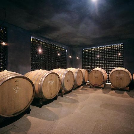 Winery Cuj Bed & Breakfast Vilanija Εξωτερικό φωτογραφία