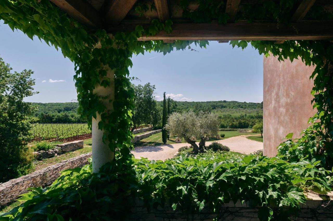 Winery Cuj Bed & Breakfast Vilanija Εξωτερικό φωτογραφία